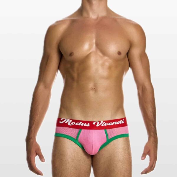 05514-pink-(1) Modus Vivendi muške slip gaće u roze boji sa crvenim pojasom