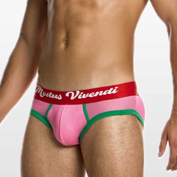 05514-pink-(3) Modus Vivendi muške slip gaće u roze boji sa crvenim pojasom