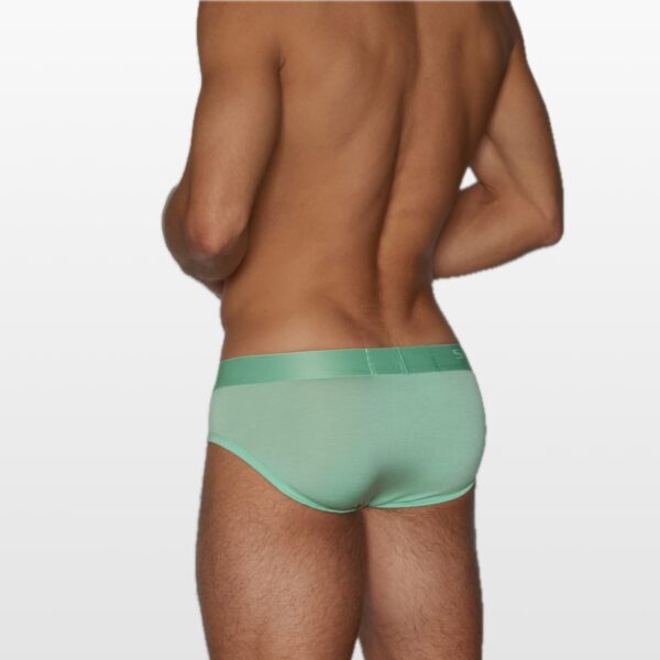 2813-green-(2) C-IN2 Minimal slip gaće niskog struka od modala – Gad zelena