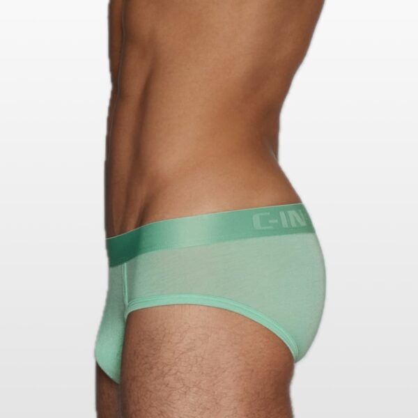 2813-green-(3) C-IN2 Minimal slip gaće niskog struka od modala – Gad zelena