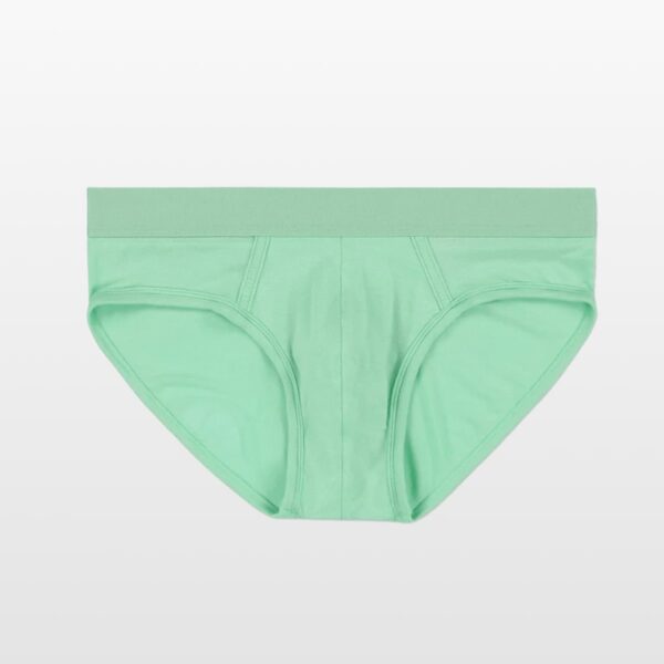 2813-green-(4) C-IN2 Minimal slip gaće niskog struka od modala – Gad zelena